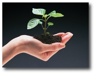 Grow With Us